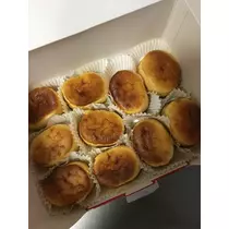 白石 愛莉