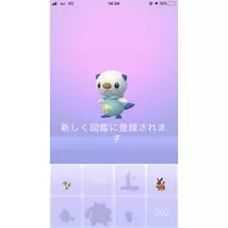 あみ