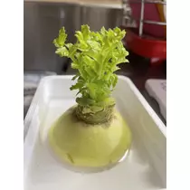 ちひろ