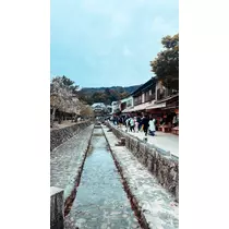 ミノリ