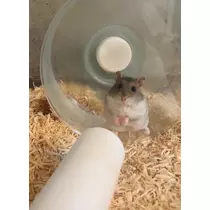ゆな