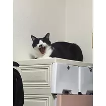 愛望