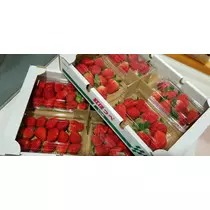 美穂