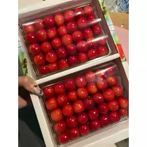 蒼 みらい