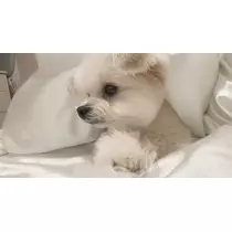 朝陽 凪