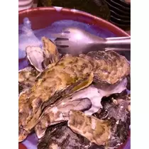 七星 夏純