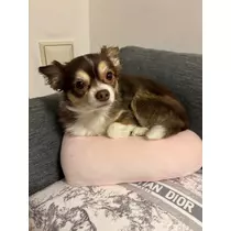 さな