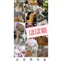 紫音