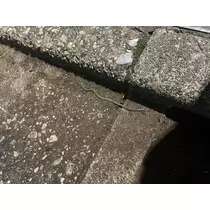 ちひろ