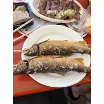 柊 まりん