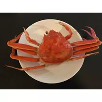 姫花
