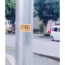 紫音