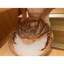 芹沢 莉瀬