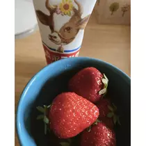 七星 夏純