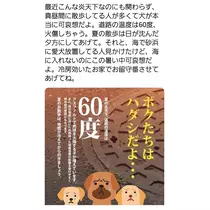 荒木 ナツミ
