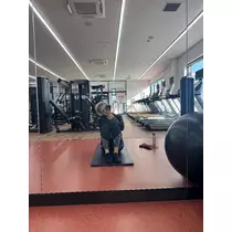 イヴ