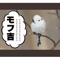 ひな