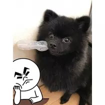 ティナ