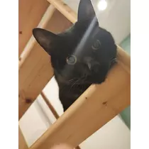 こは