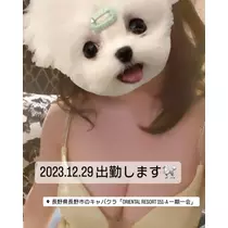 はづき