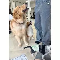 綾瀬 優