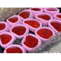 桜乃 咲美