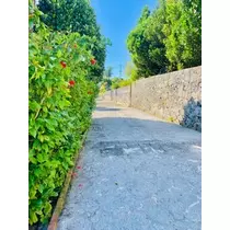 ゆかり