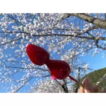 ハル