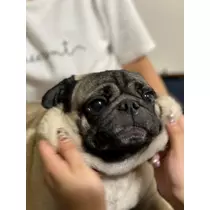 みき