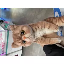 あみ