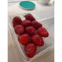 花咲 みらい