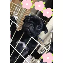 あきな