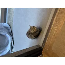 みあ