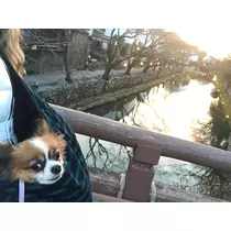 あいら