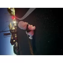 にこる