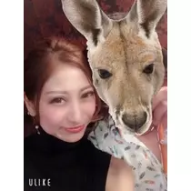 ゆかり