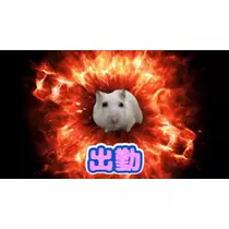 ゆん