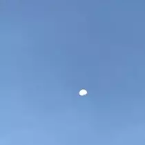 りえ