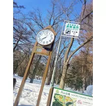 柊 まりん