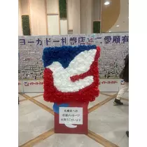 紬 ひい