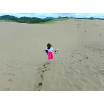 翠
