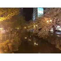 白咲 澪