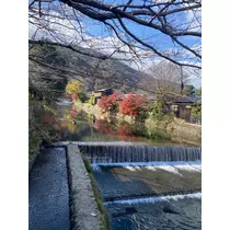 みゆ