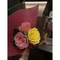白石 愛莉