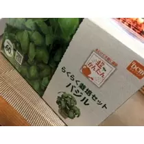 香川 ゆい