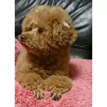 えみり