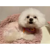 夏樹 あや