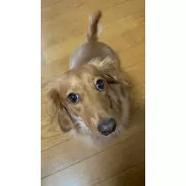 あい