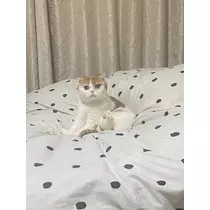 るな