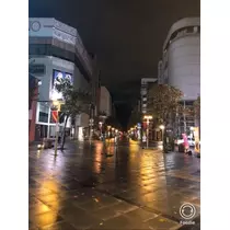 宝條 夏恋